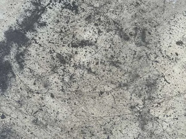 Concrete Grinding and Coating at Bridgestone Tyre Centre project photo 3
