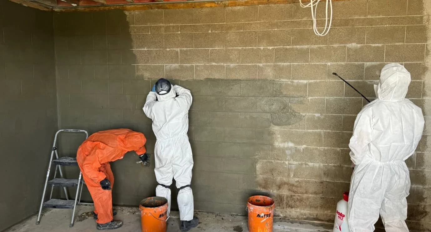 Crystalline Waterproofing Project at 8 Bragato Place, Chatswood, Auckland project photo 2